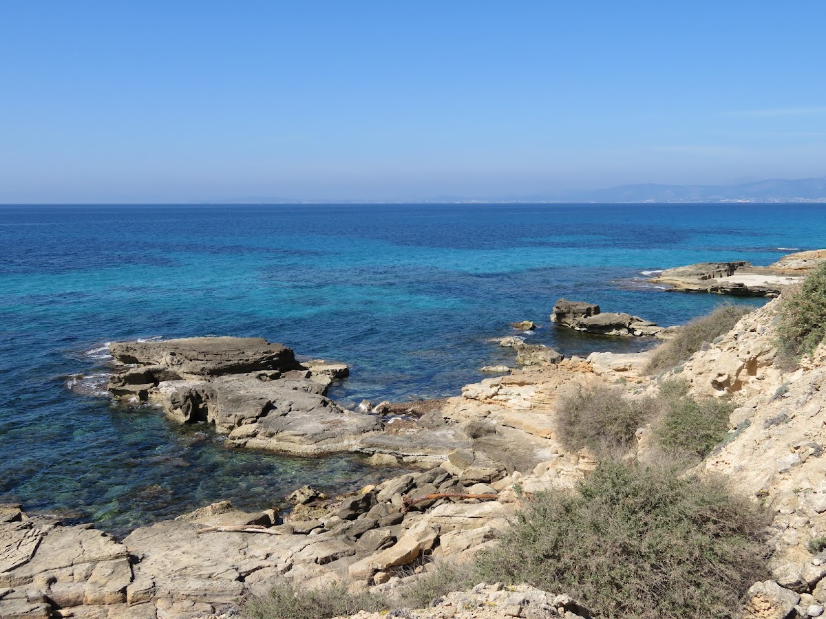 Playa Delta