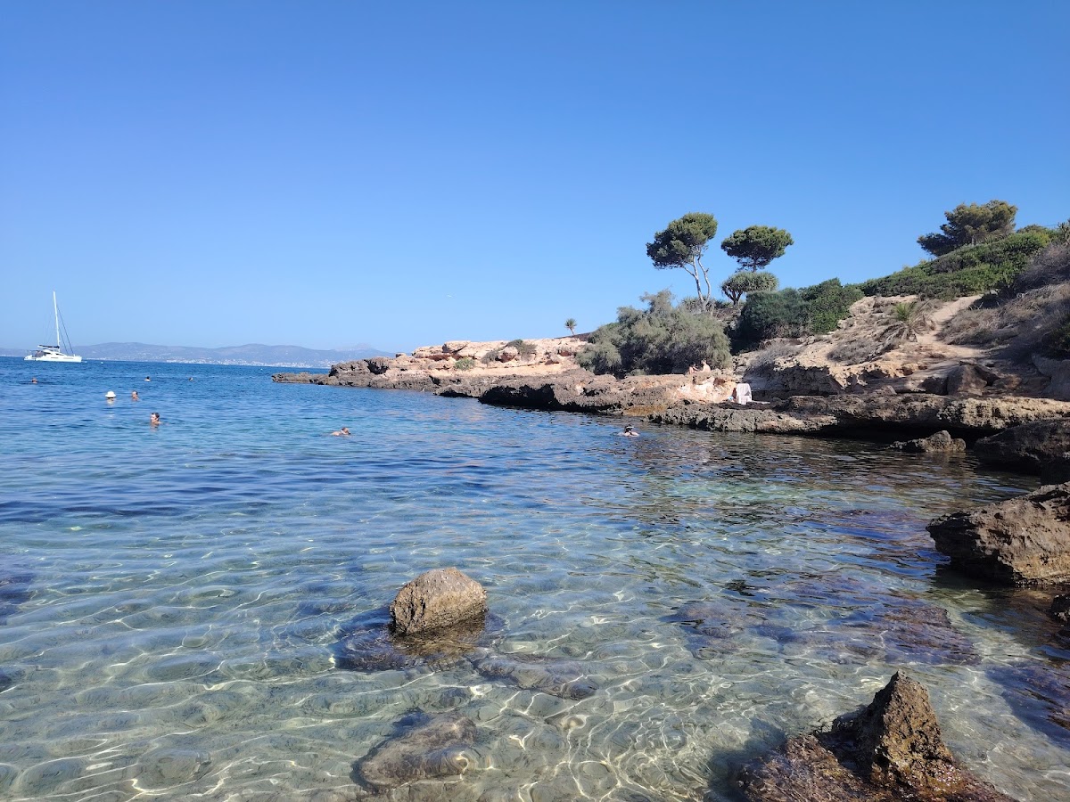 Playa Caló de ses Lleonardes