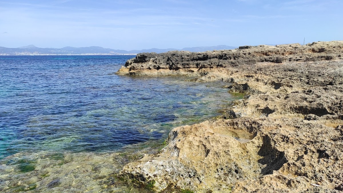 Playa Caló de ses Lleonardes