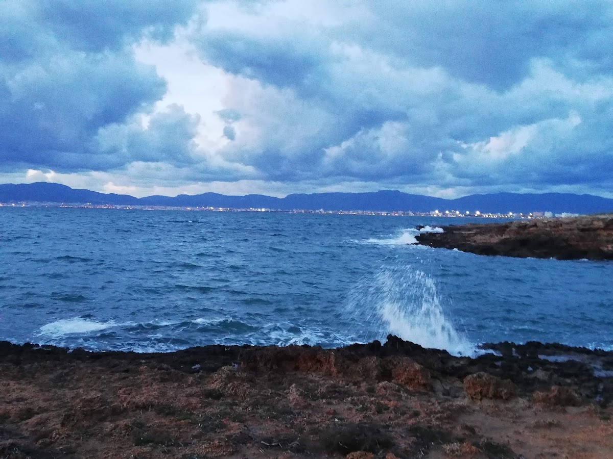 Playa Caló de ses Lleonardes