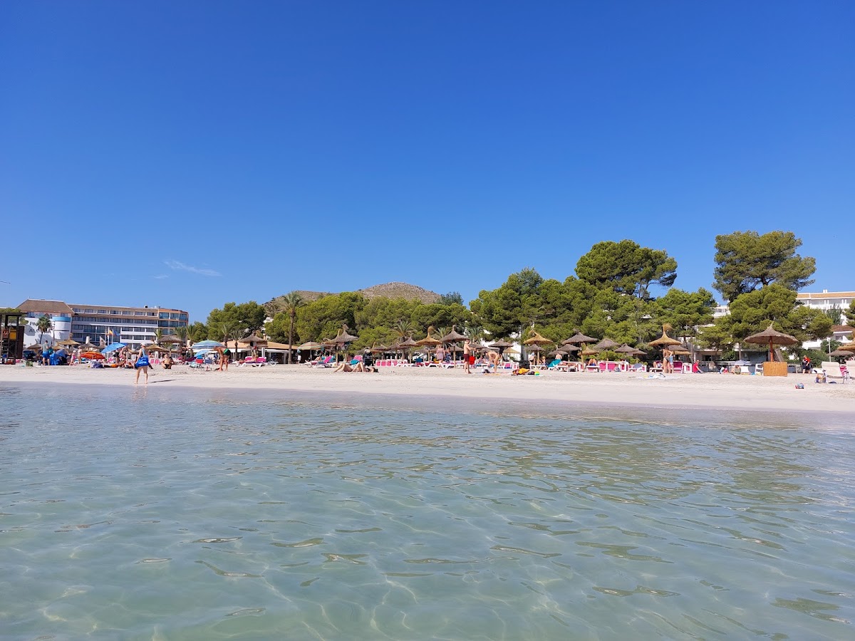 Platja d'Alcúdia