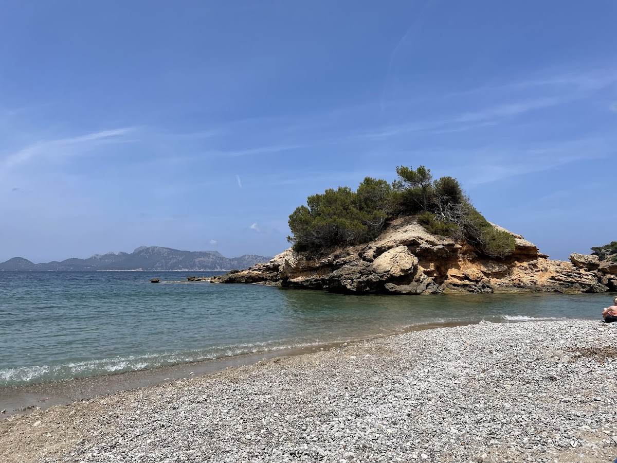 Playa de Olia