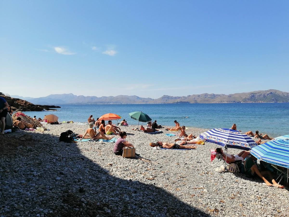 Playa de Olia