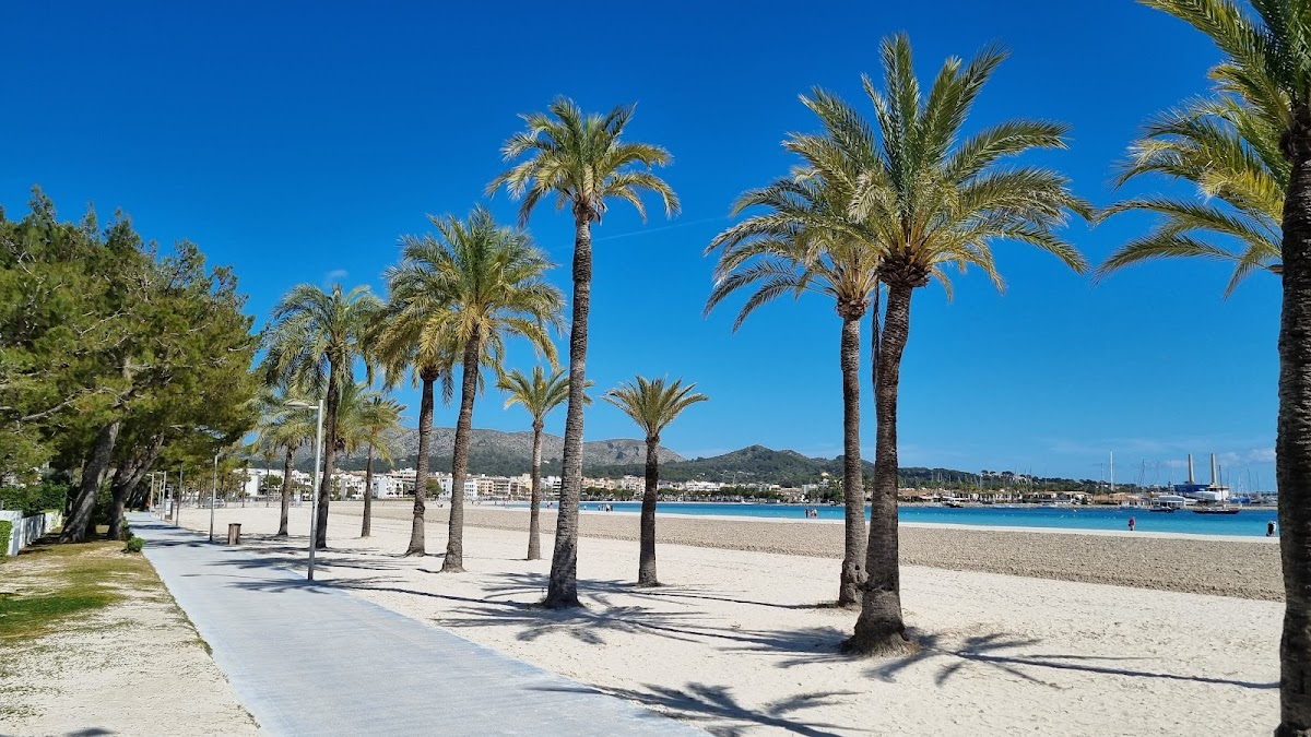 Alcudia strand