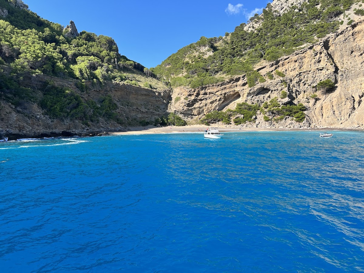 Top Beach