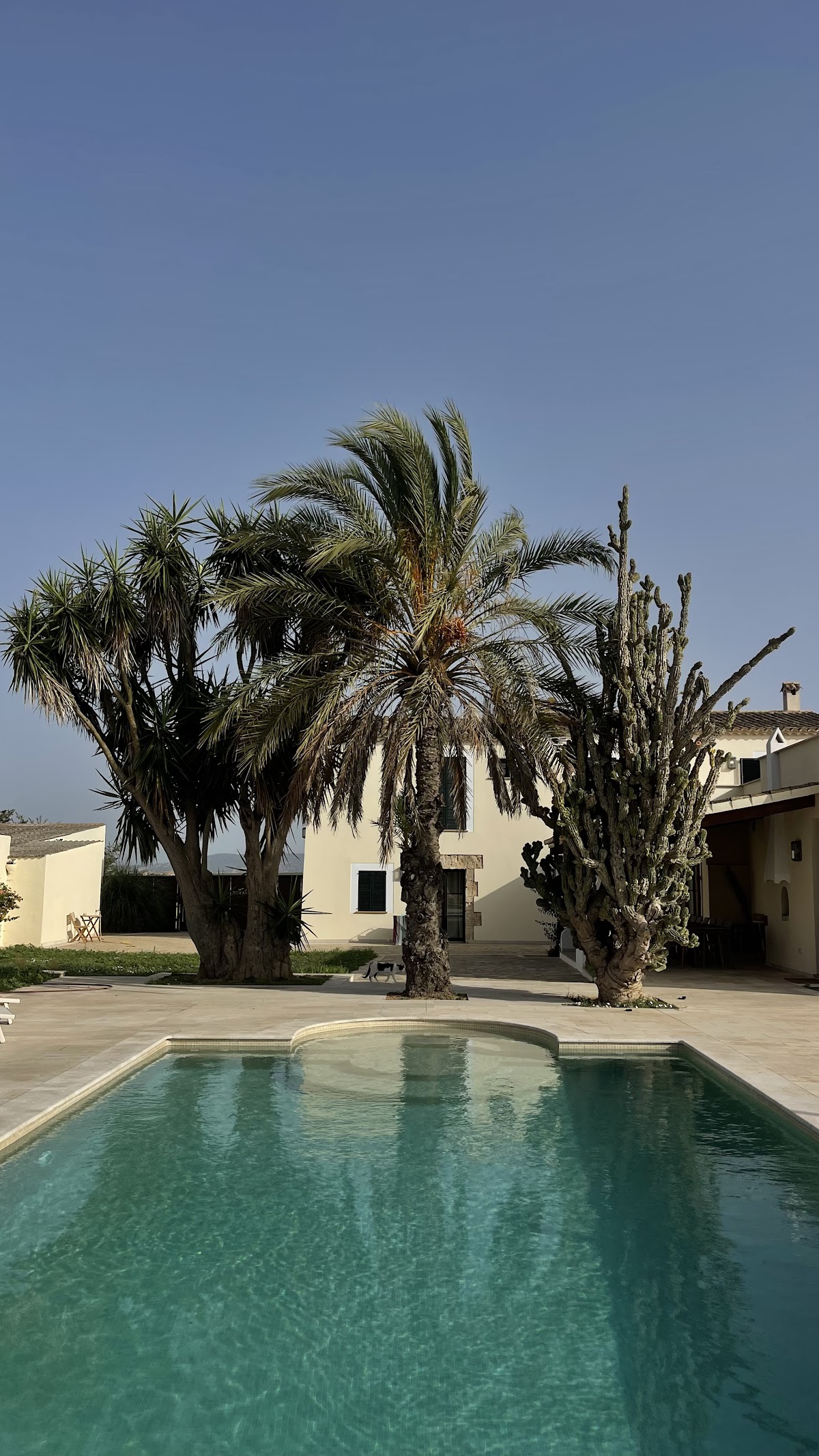 Vino Resort Son Amaret