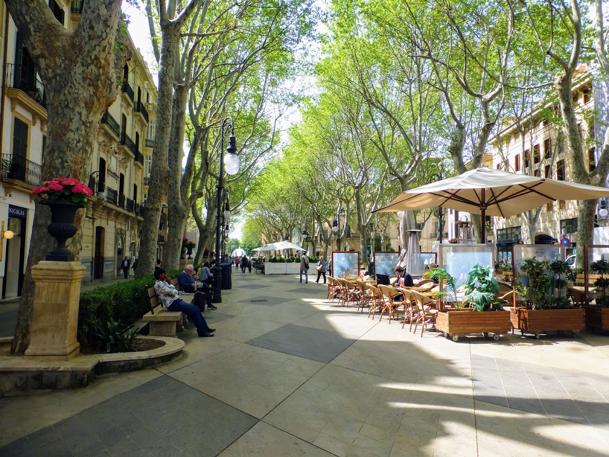 Passeig del Born
