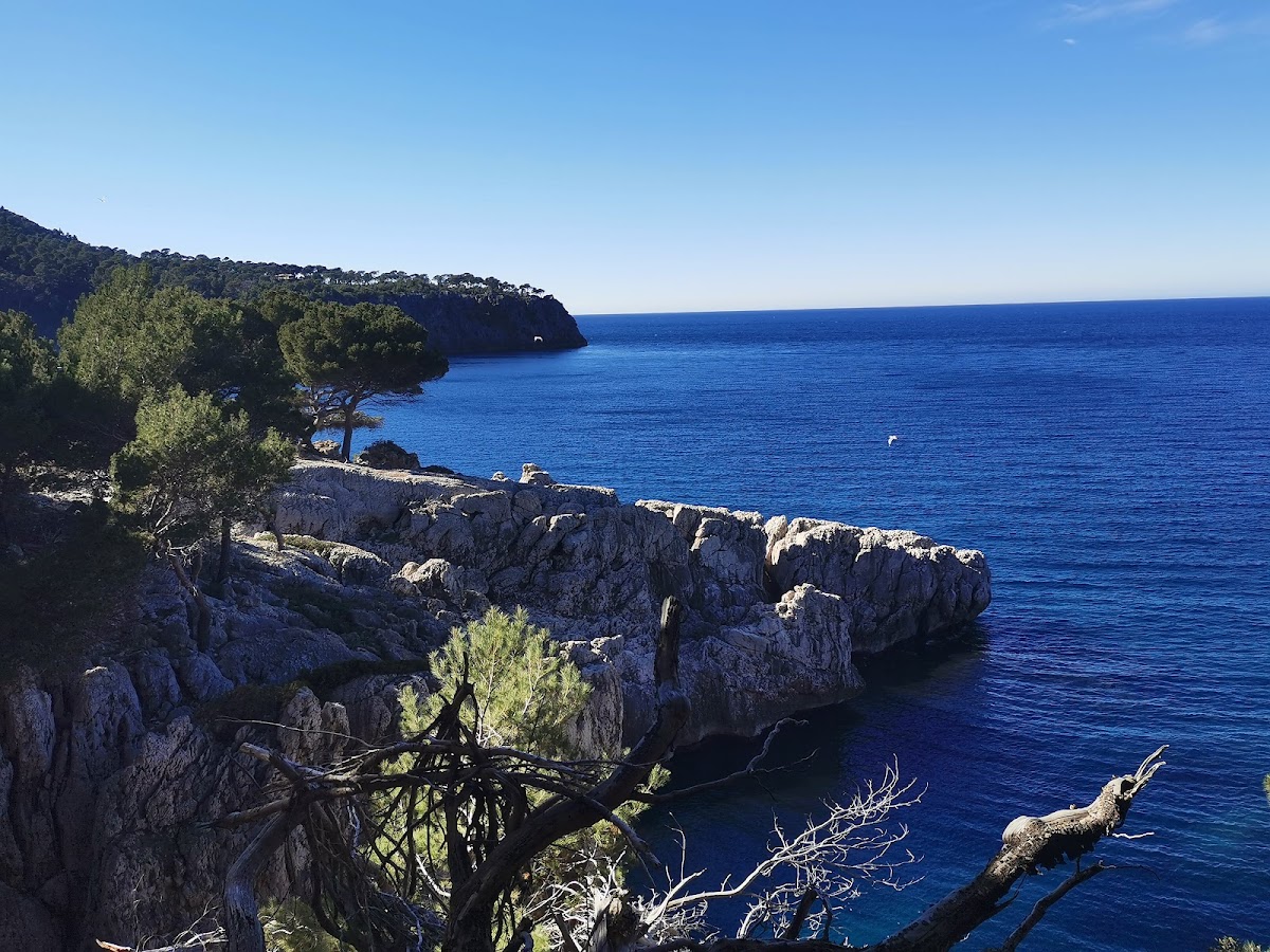 Es Canyaret