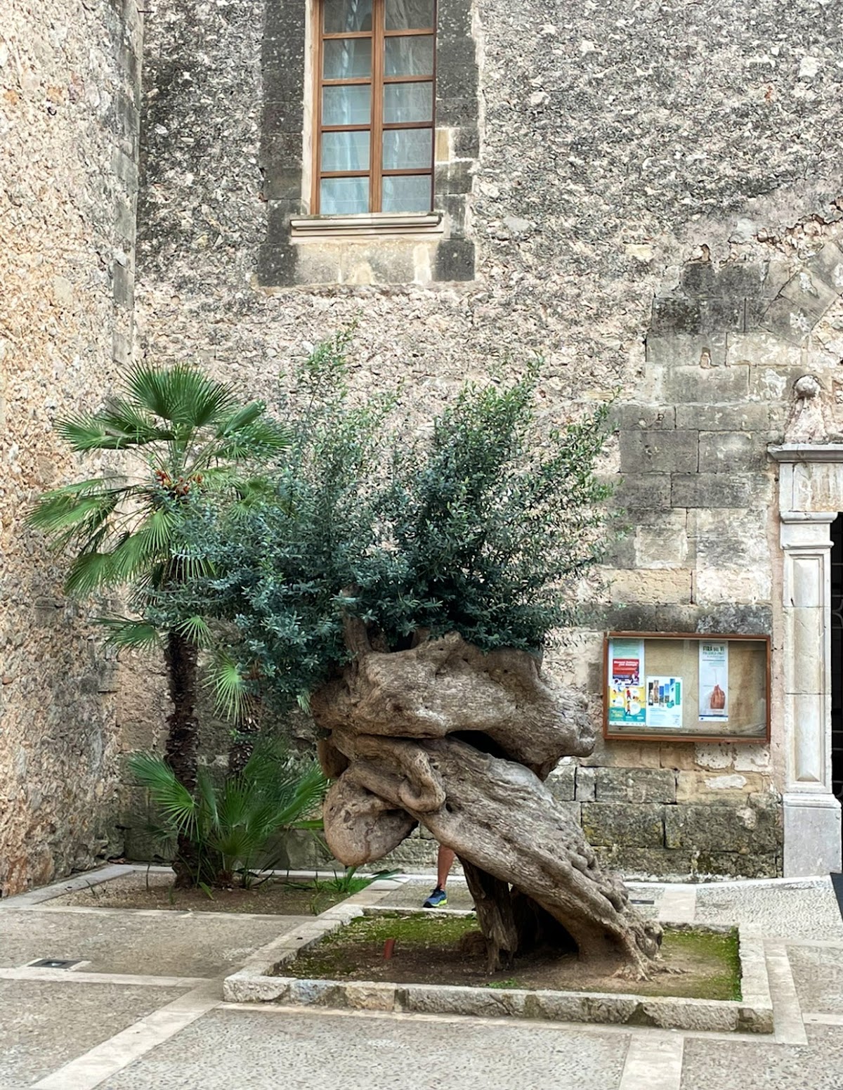 Claustre de Sant Domingo