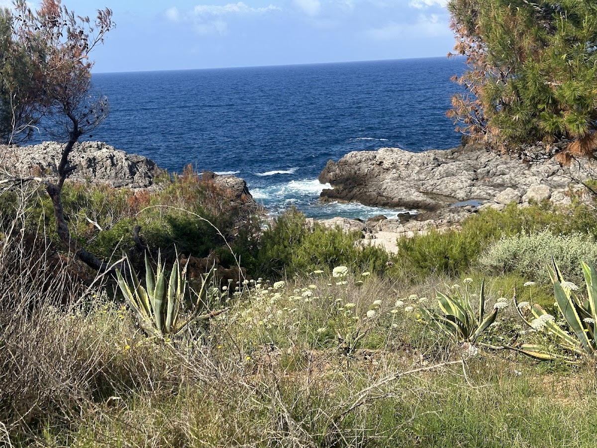 Norway Dive Mallorca - PADI 5 Star IDC Scuba Diving Center