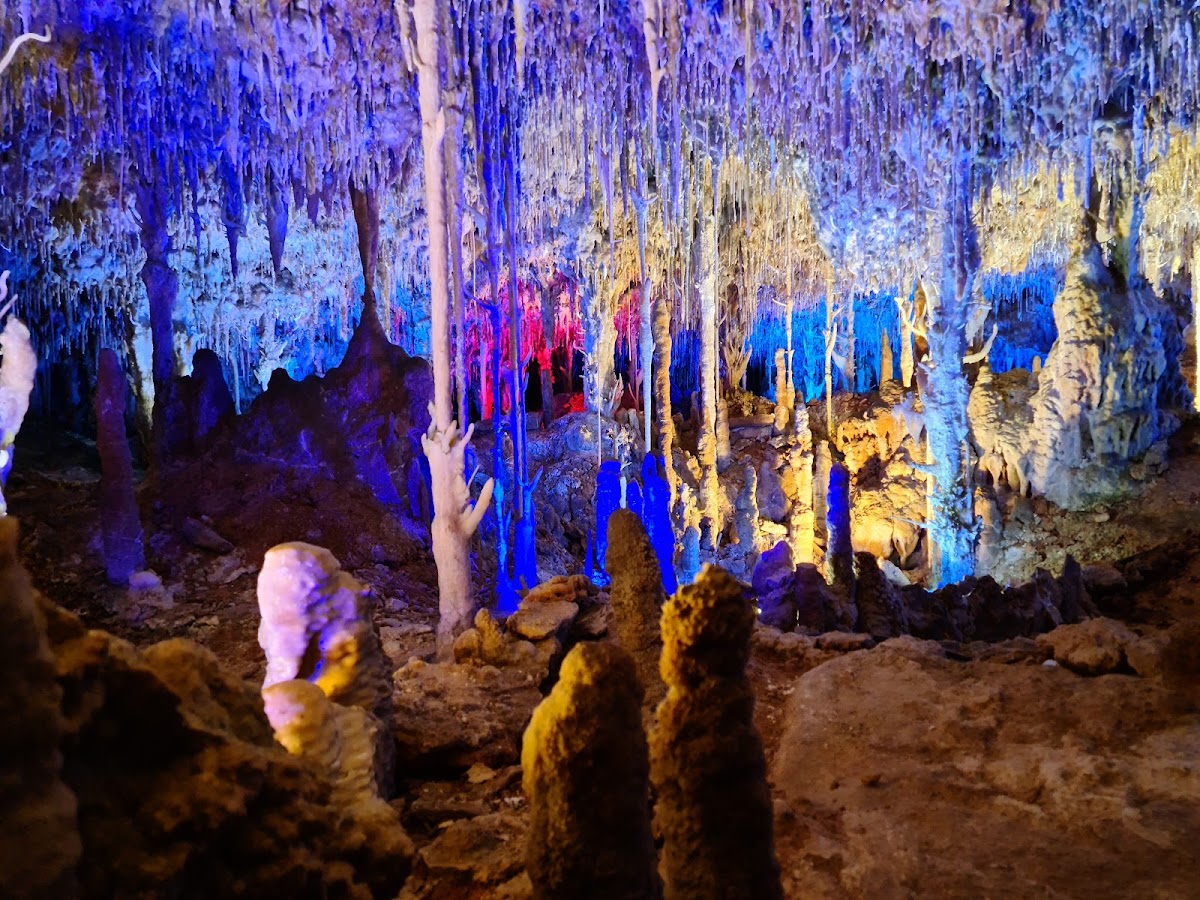Hams' Caves