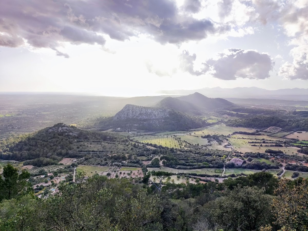 Puig de Randa