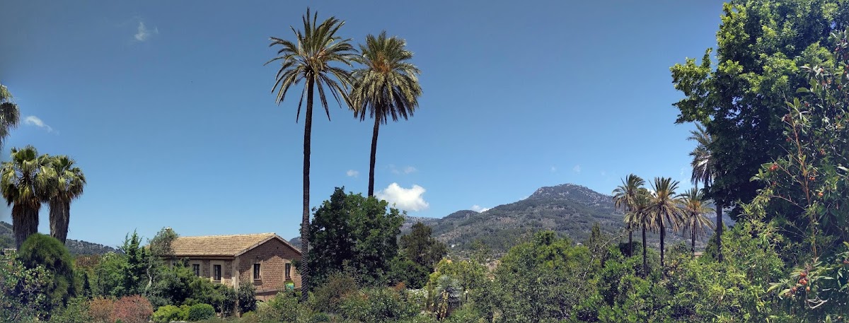MUCBO | Jardí Botànic de Sóller