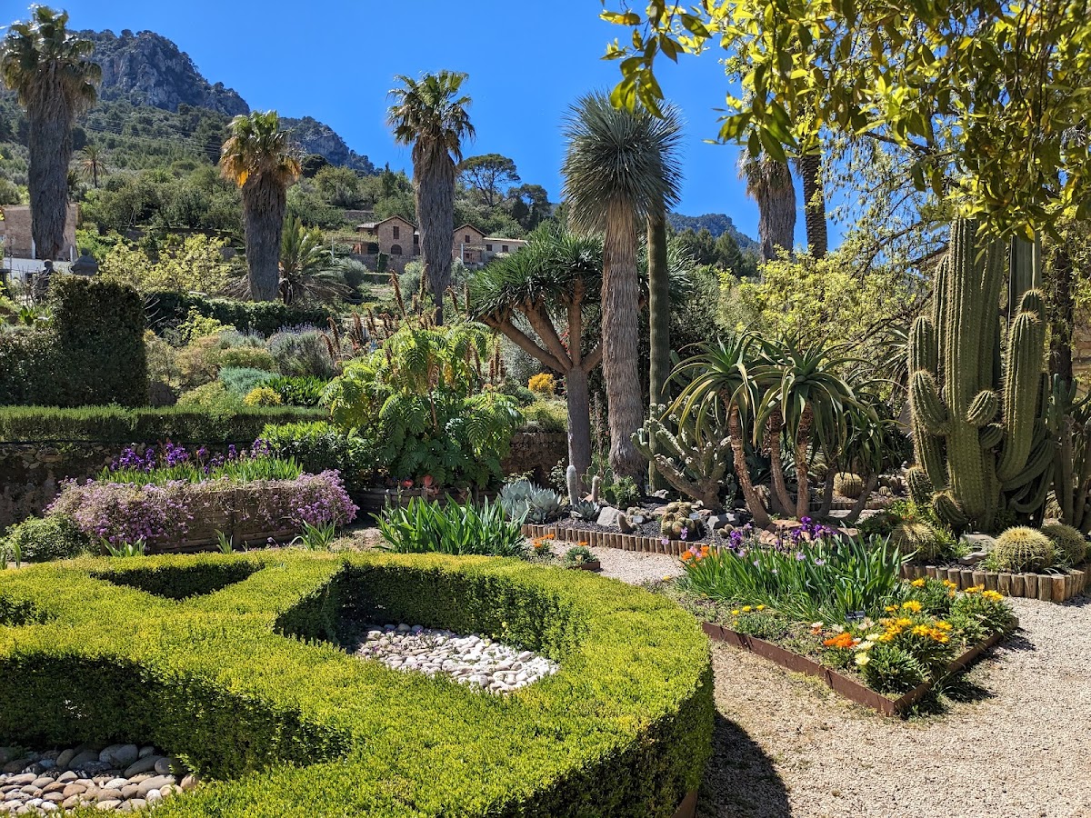 MUCBO | Jardí Botànic de Sóller