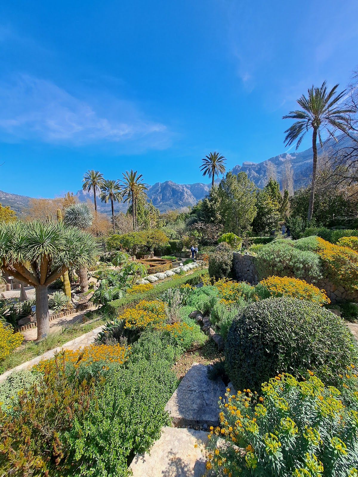 MUCBO | Jardí Botànic de Sóller