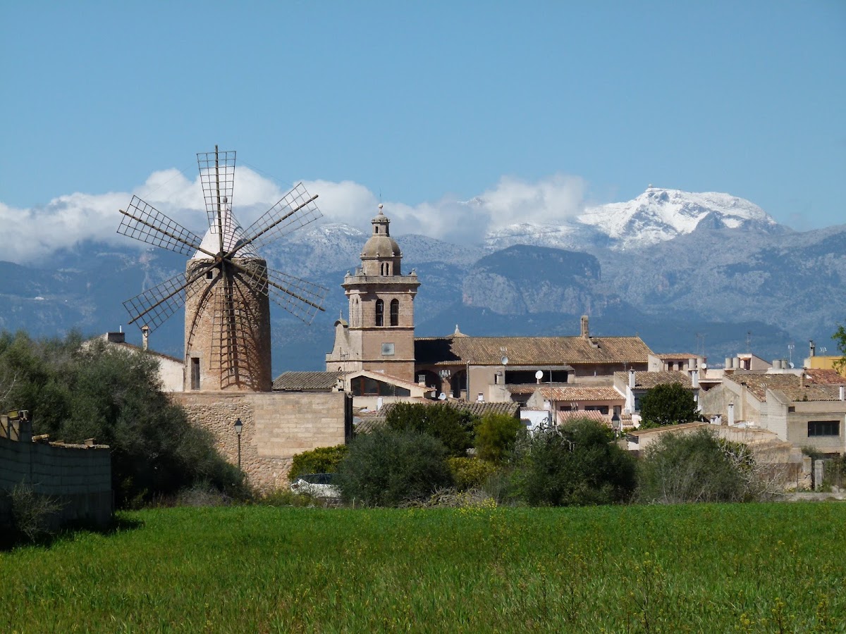 Algaida