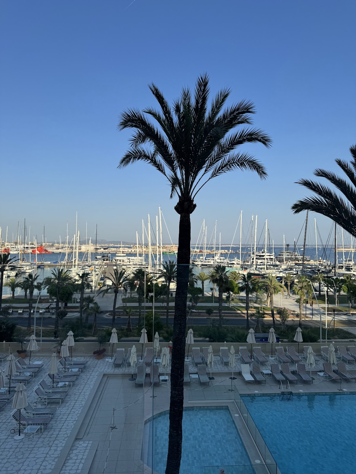 Terraza Victoria