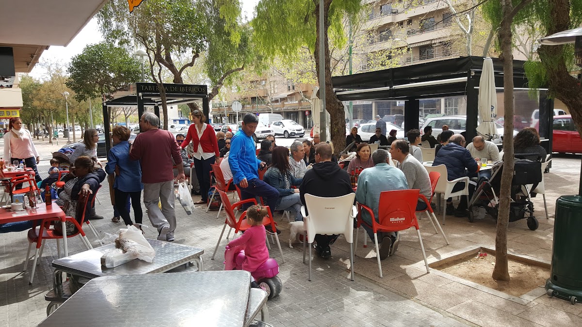 CAFETERIA SON OLIVA