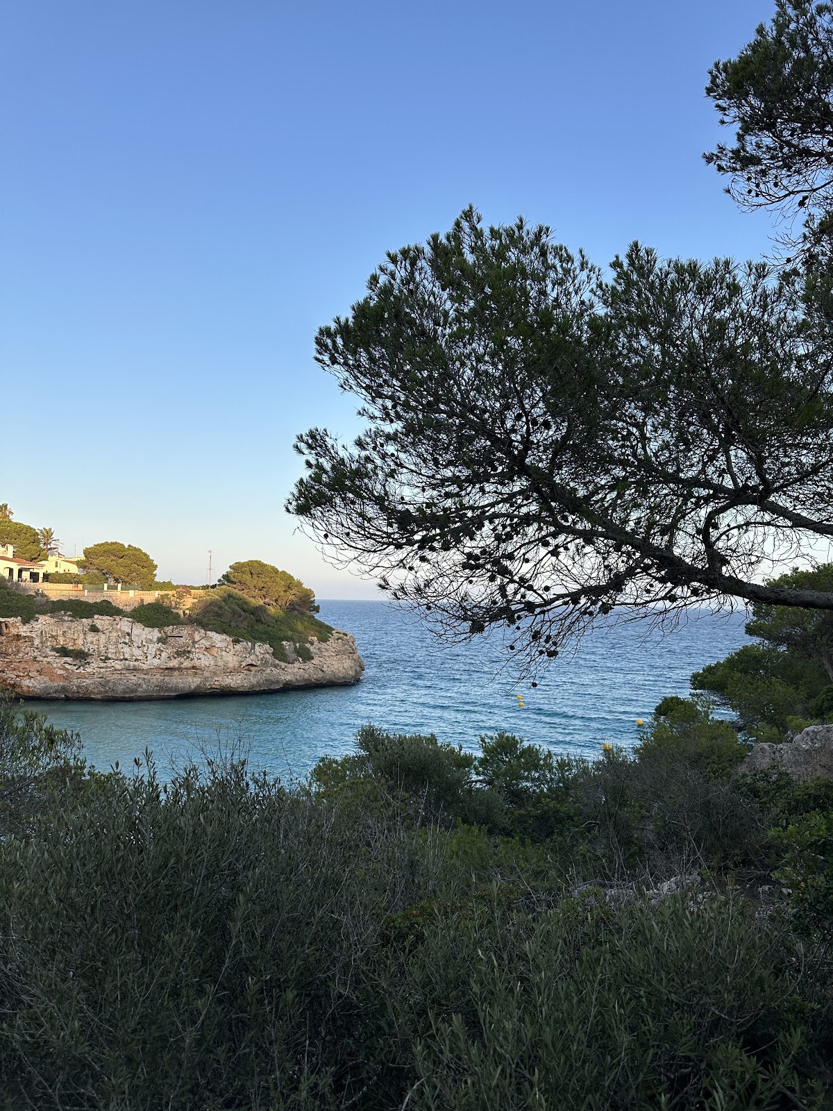 Cala Anguila Beach Restaurant & Cocktails