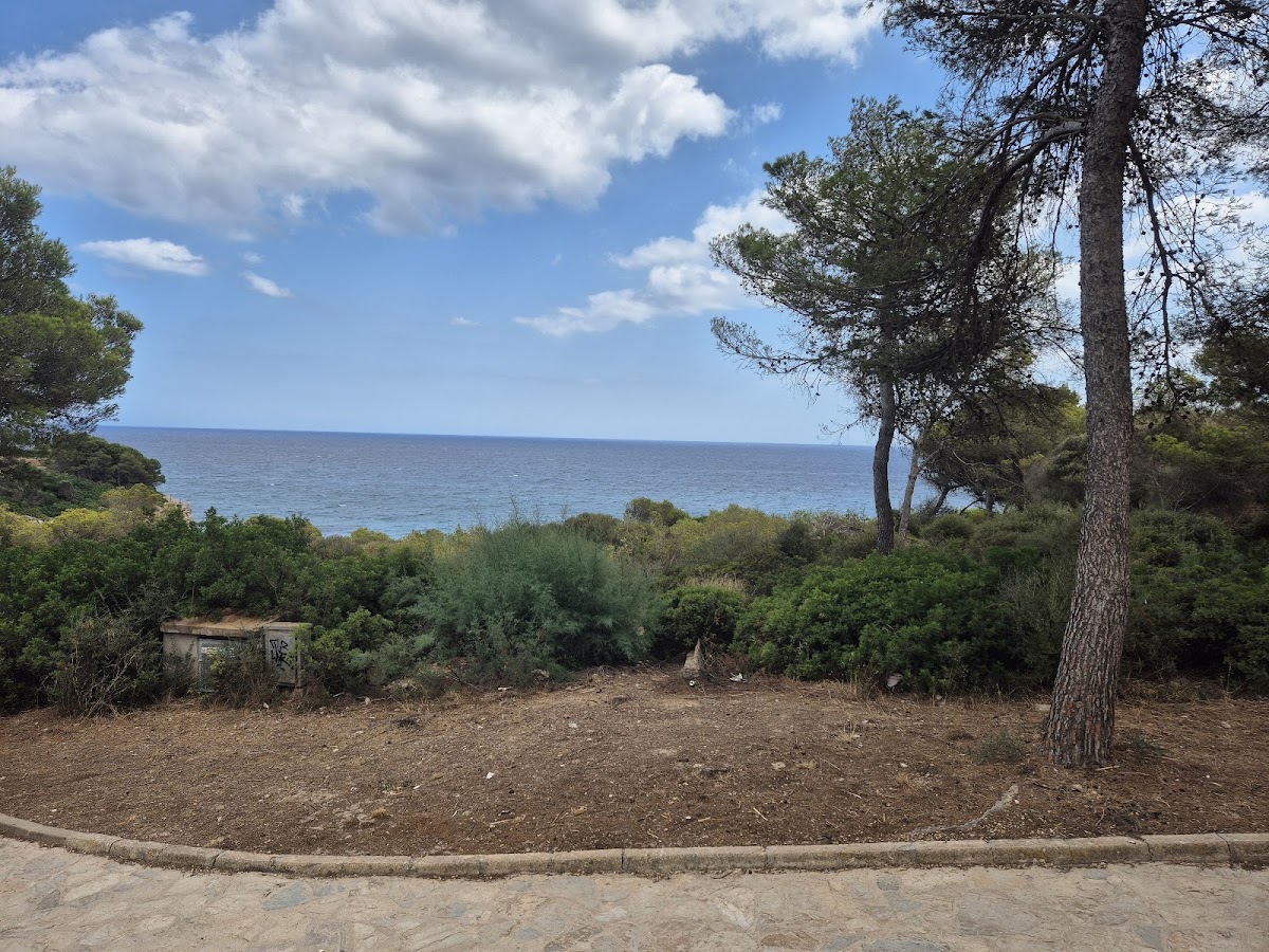 Cala Anguila Beach Restaurant & Cocktails