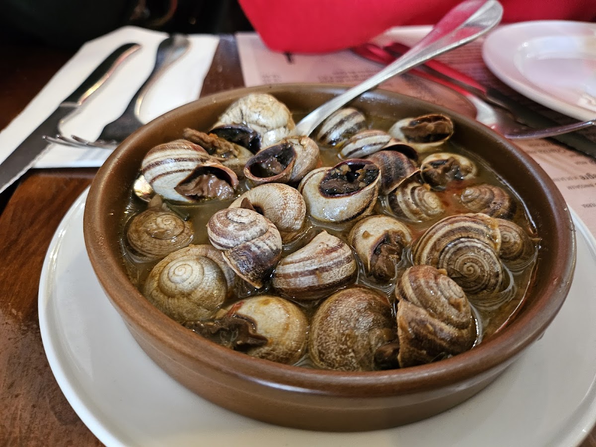 Don Caracol