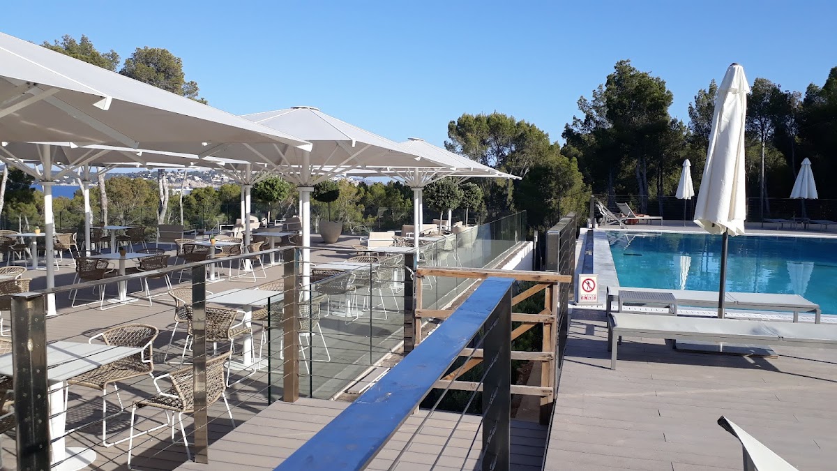Pool Bar Hotel Coronado