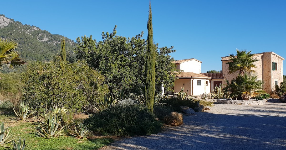 Moscari Finca Service S.L.