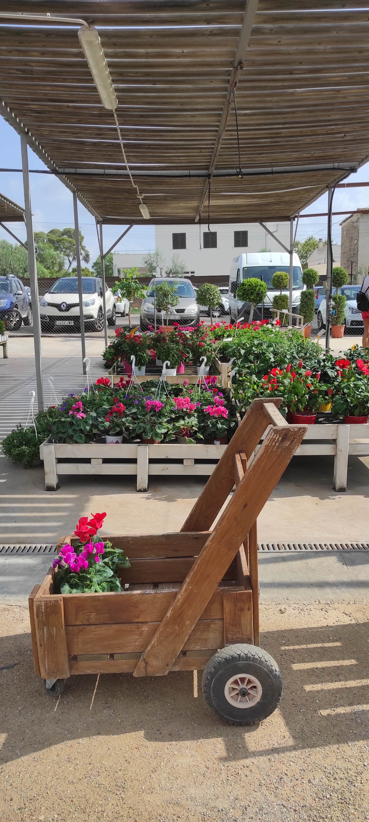 EDEEN centro integral de jardinería S.L