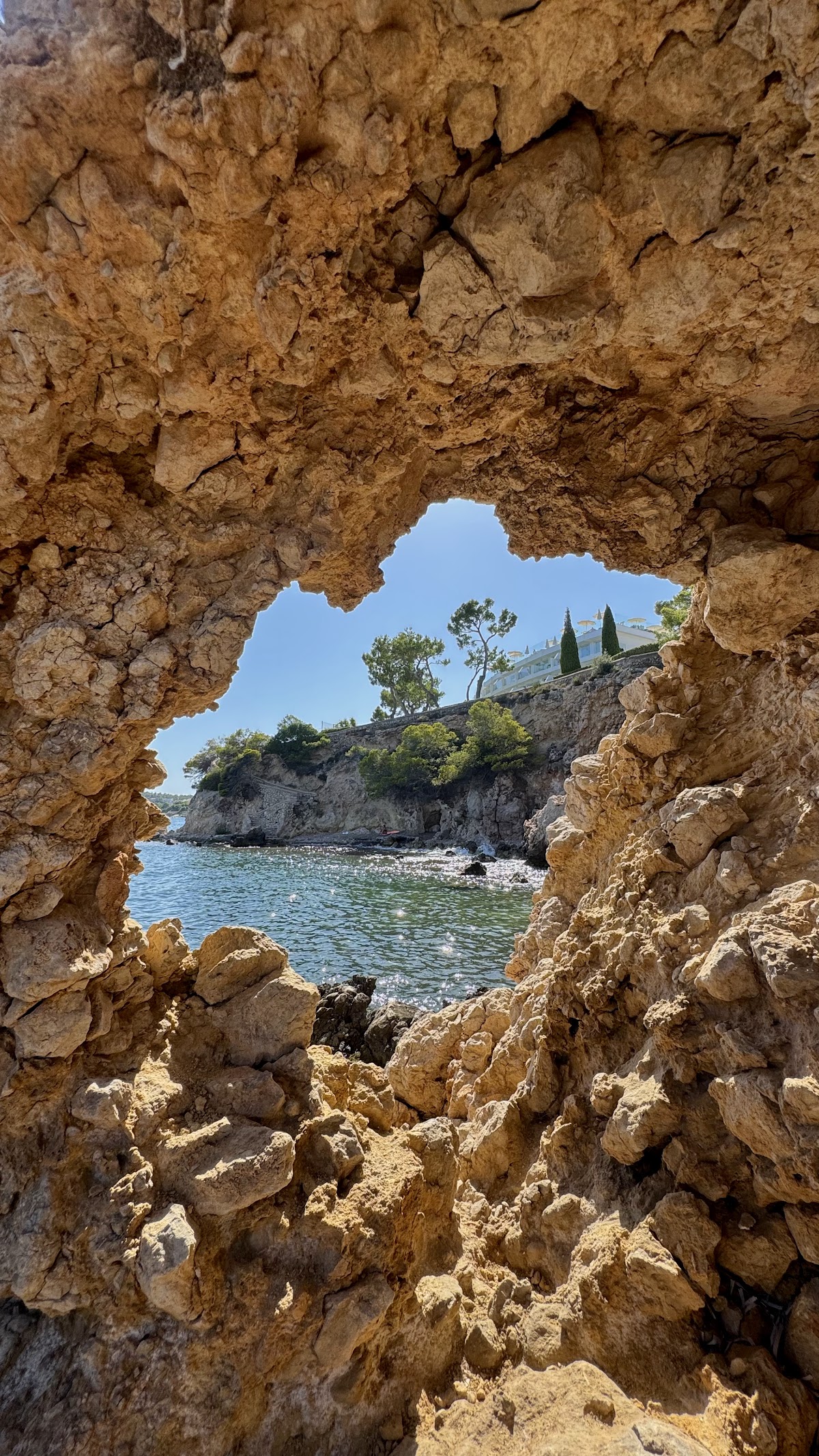Il covo del fighi