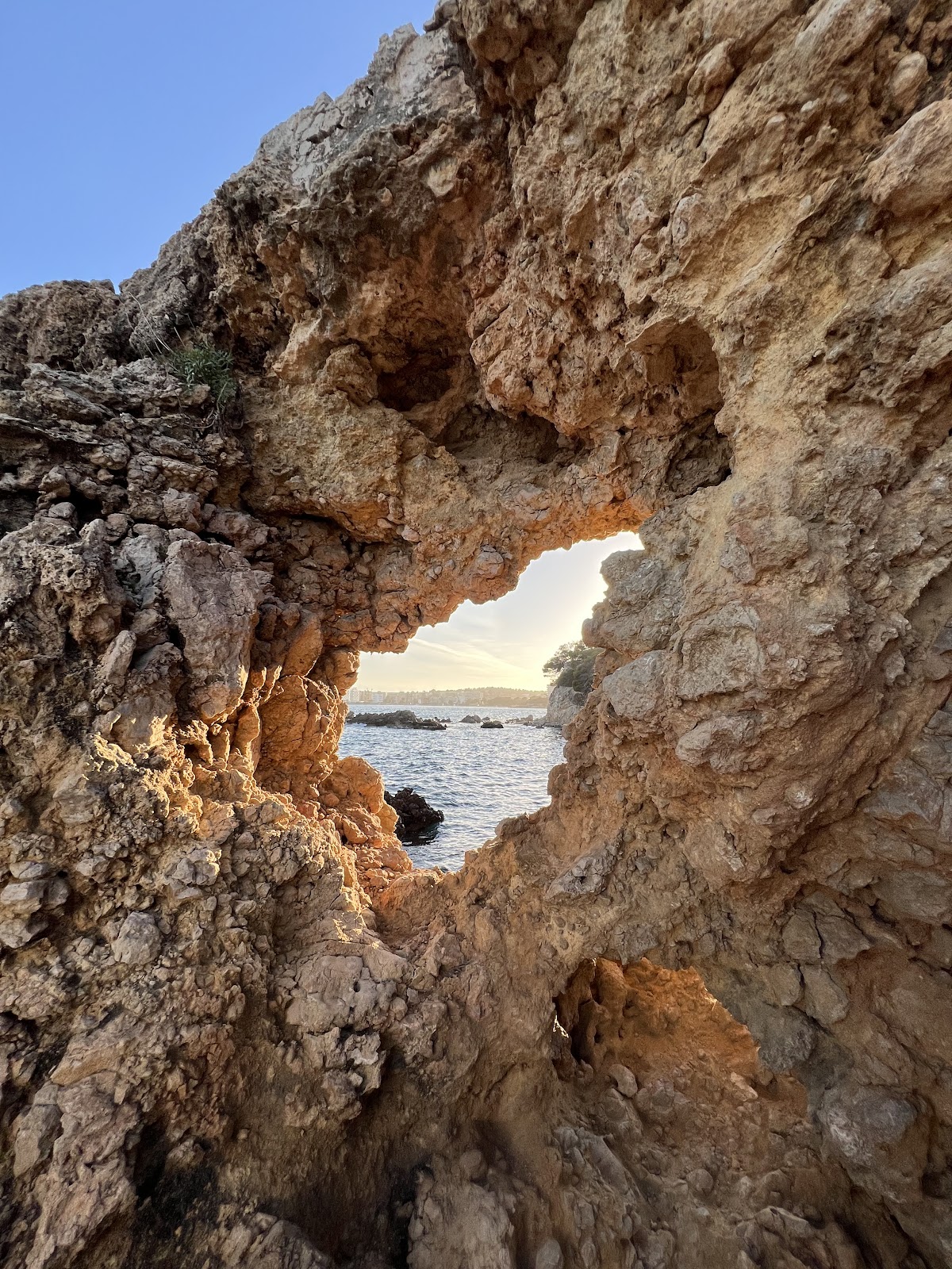 Il covo del fighi