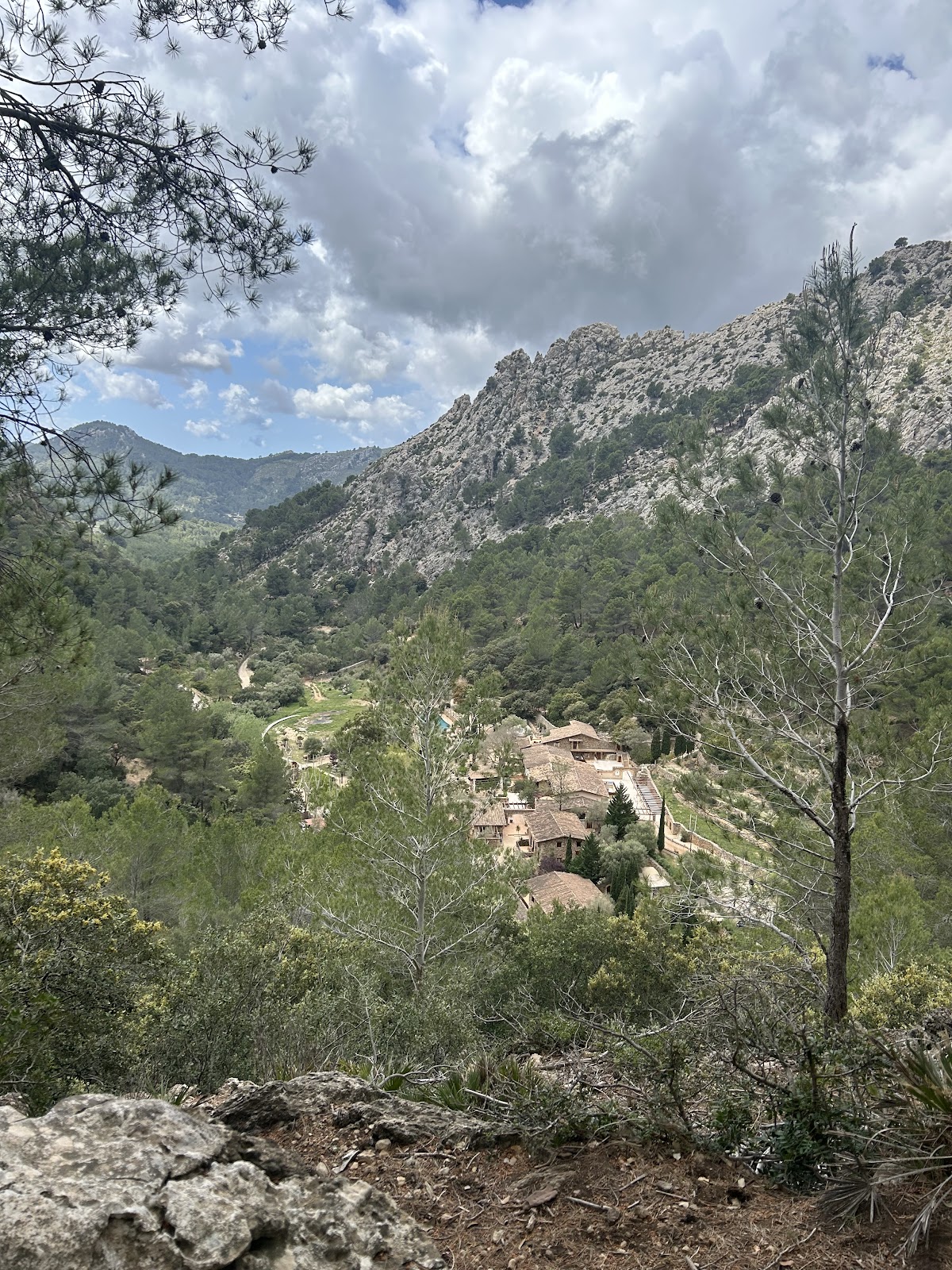 Reserva Park