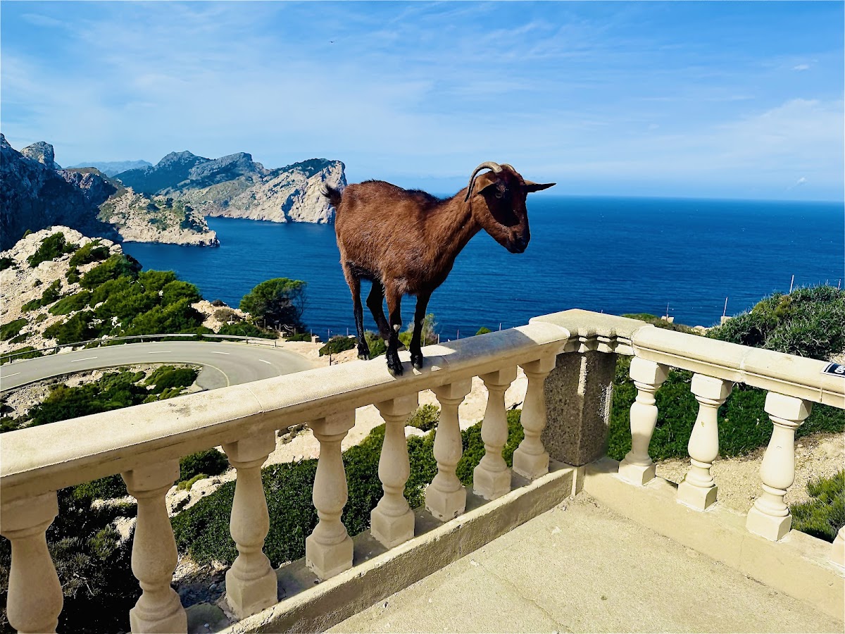 Viewpoint Cap Formentor Lighthouse
