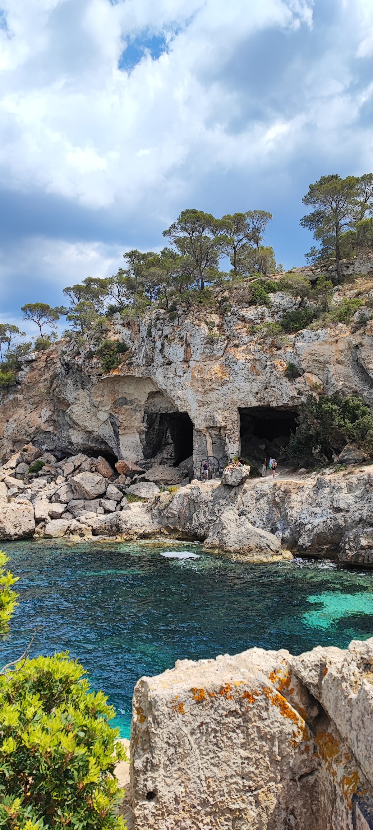 Cova de Portals Vells