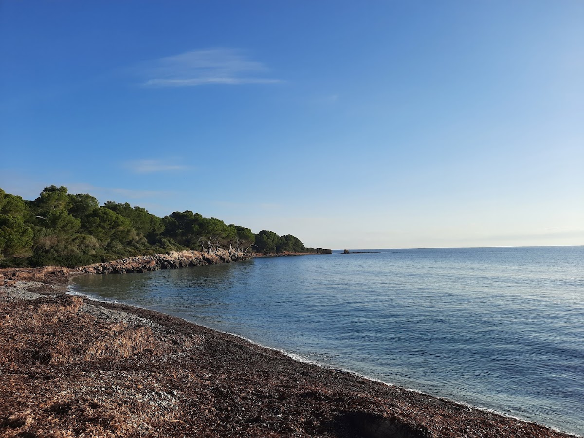 Platja d'Aucanada