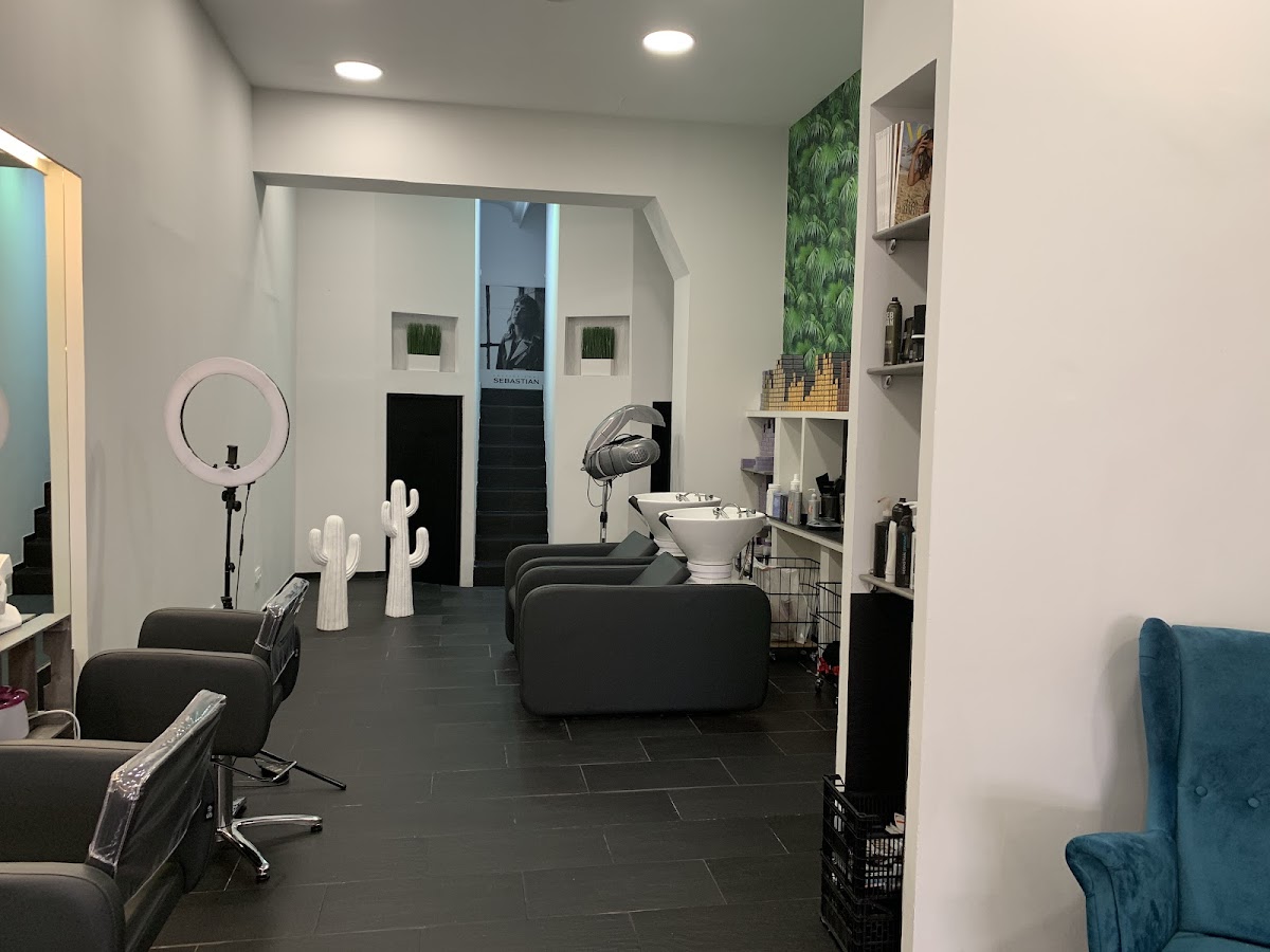 Sílvia santos hair salón