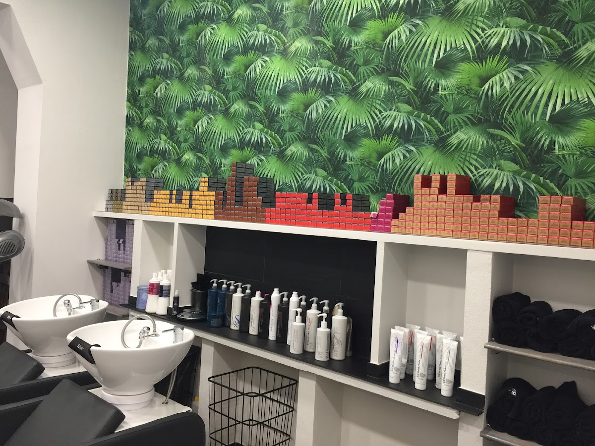 Sílvia santos hair salón