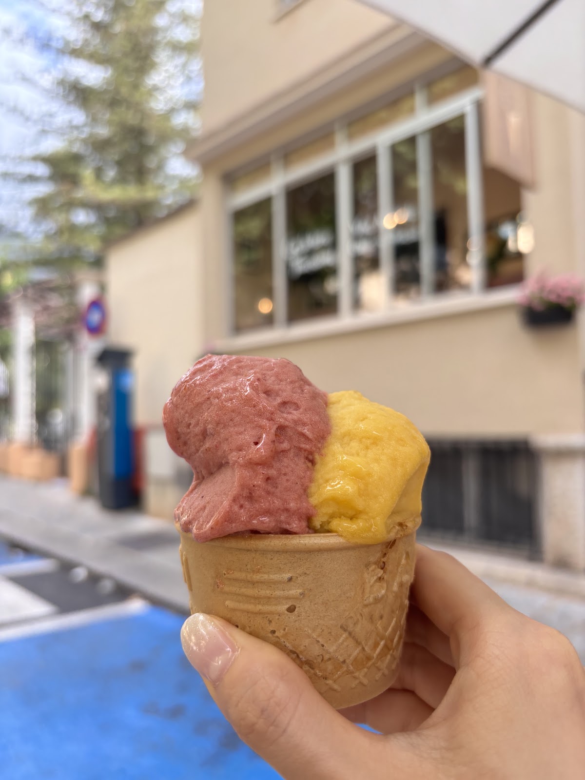 Mister McCoy's Island Ices