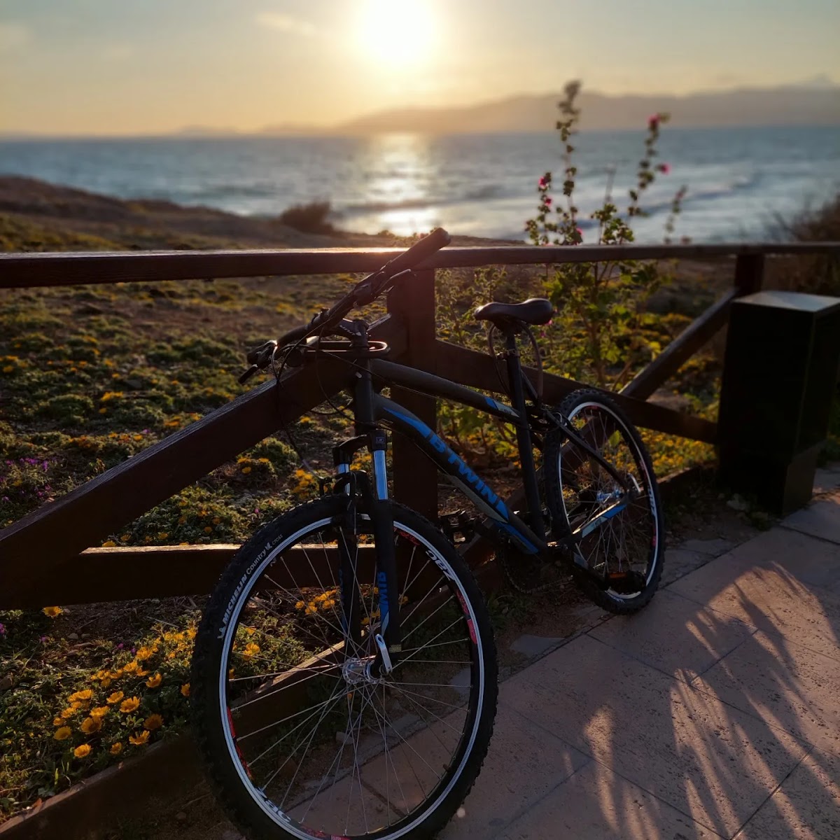Ciclos Mallorca