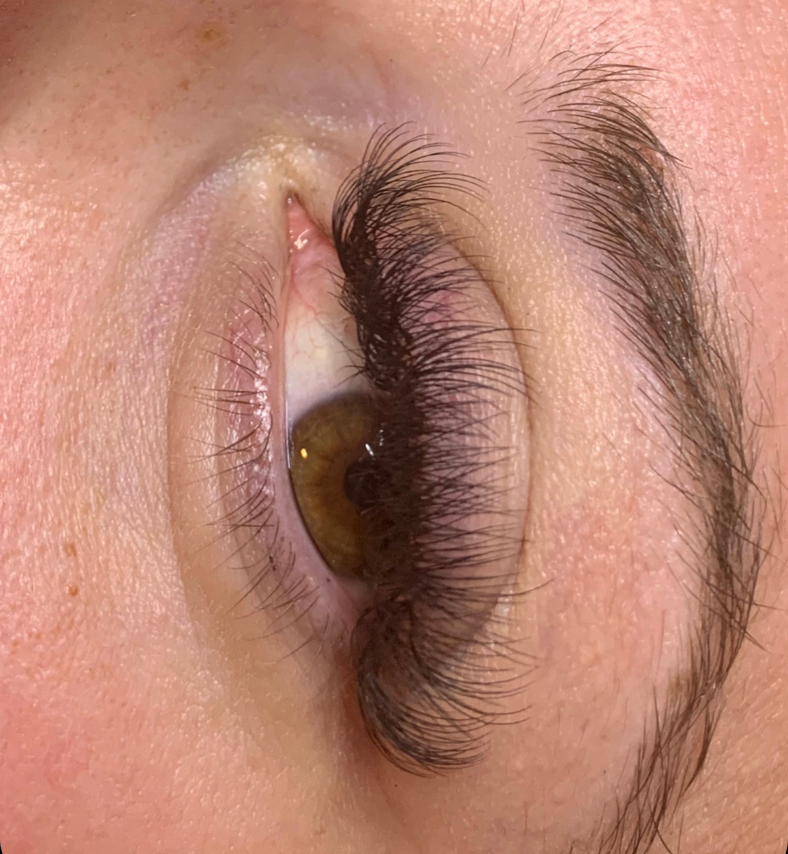 c-lashes
